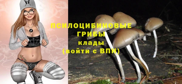 синтетический гашиш Бородино