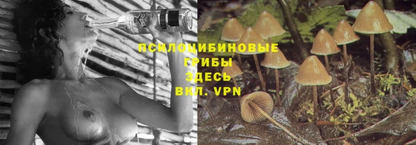 синтетический гашиш Бородино