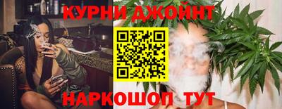гидра Бузулук