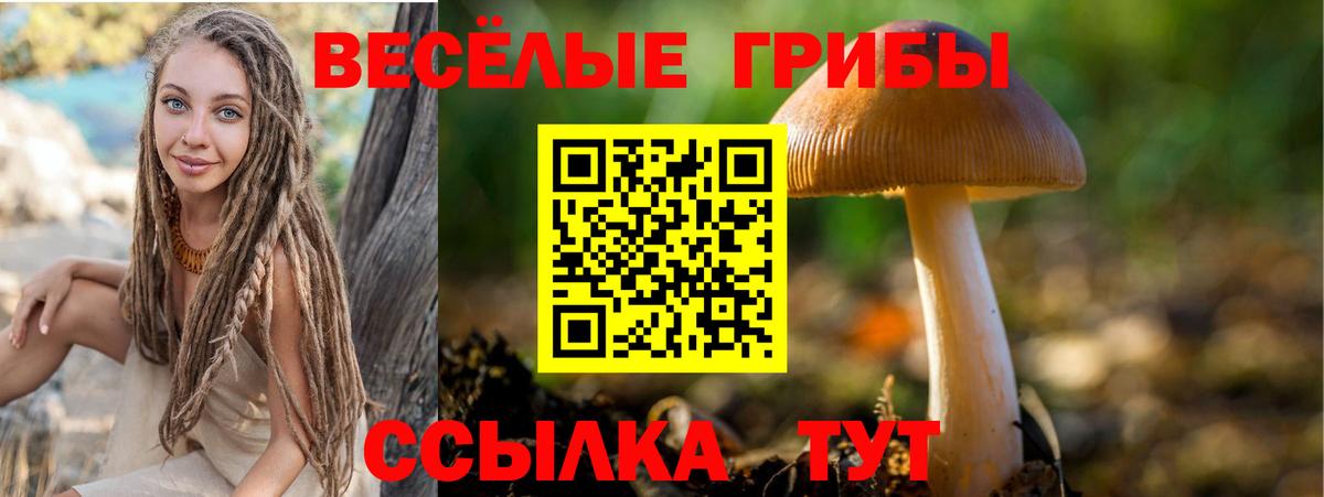 Галлюциногенные грибы Magic Shrooms Красногорск